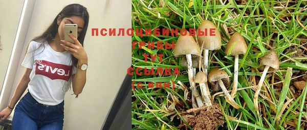 дживик Дмитриев
