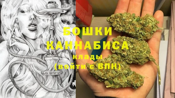 дживик Дмитриев